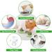 Shop AUCENIX Catnip Balls for Cats - Natural Rolling Cat Toys for Dental Health & Fun (2 Pack - Green) - Buy Online on GoSupps.com