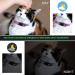 2PCS Breakaway Cat Collars with Bell - Adjustable Safe Kitten Collars - Glow in The Dark - Black&Purple - Buy Online on GoSupps.com