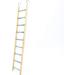 Penn-Plax Bird-Life Trimmer Plus 9 Step Ladder - Cement & Wood, Crushed Sea Shells - Ideal for Small Birds - Buy Online on GoSupps.com