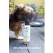 Roqsy Natur-Hundehampoo 200ml | Vegan & Organic Dog Shampoo for All Breeds | Ideal for Puppies Sensitive Skin & Allergy Relief - Buy Online on GoSupps.com