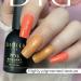 Didier Lab - Premium UV Gel Nail Polish - Brillant No. 13 - Gel Nail Varnish - Nail Art - Long-Lasting High Gloss Wear - Orange Gel Nail Polish - Gel Nails - Glitter Gel Nail Polish - Rich Pigment - Buy Online on GoSupps.com