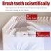 360Electric Ultrasonic Toothbrush for Adults | Automatic Timer & Wireless Charging | Dual-use Home & Travel | Black - Buy Online on GoSupps.com