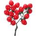 HOMSFOU 5pcs String Simulated Cherry Tomatoes Realistic Cherry Toys Simulation Cherry Tomatoes Artificial Tomatoes Faux Cypress Garland Fake Peaches Fake Cherries Child Pvc Fake Food Fruit Redx5pcs 18X16CMx5pcs - Buy Online on GoSupps.com