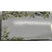 Panendiano Braunglas Spray Bottles & Watering Can - 250ml Adjustable Spray Head Reusable for Plants Flowers Garden & Hairdressing - 4 Pack Transparent - Buy Online on GoSupps.com