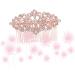 FRCOLOR Rhinestone Hair Comb Gold Teeth Hair Clip Combs Headpiece for Women Wire Hair Side Comb Metal Hair Side Comb Fashion Hair Comb Pin Metal Hair Clips for Women Rhinestones Veil Bride - Buy Online on GoSupps.com