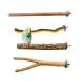 Nature birds set for birds standing bird cage Accessories pencil bars for bird cages percussion rods for budgies budgie accessories for budgie canaries 4 pieces