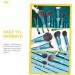 FRCOLOR Diamond Makeup Brush Set - 3 Pieces Eye Shadow & Blending Brushes for Women | Premium Plastic Makeup Tools - Buy Online on GoSupps.com