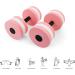 2PCS Aquatic Dumbbells for Water Aerobic Exercise & Aqua Fitness - Pink - Buy Online on GoSupps.com