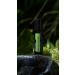 doTERRA Touch Shinrin-Yoku Forest Bathing Blend 10 mL Roll-On | Relax & Rejuvenate | International Shipping Available - Buy Online on GoSupps.com