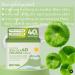 Buy PS.PRETTYSKIN Centella Asiatica Extract 40% Moisturizing Facial Cream | Korean Skin Care with Hyaluronic Acid & Ceramide | Soothe Sensitive Skin 1.75fl.oz - Buy Online on GoSupps.com