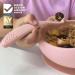 TotAha Silicone Baby Spoons Set for Self Feeding | Soft-Tip Utensils for 4-6-12 Months | Baby Led Weaning and Toddler Training Spoons | 2 Pack in Blush and Shifting Sand - Buy Online on GoSupps.com