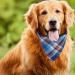 WOVTE 8 Pack Triangle Dog Bandana Reversible Plaid Painting Bibs Scarf Washable and Adjustable Kerchief Set for Dogs Cats Pets - Buy Online on GoSupps.com