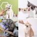 Tuibeidamai Matatabi Catnip Sticks Set - 4pcs Cat Teeth Cleaning Toys for Biting Chewing & Play - Buy Online on GoSupps.com