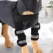 Reflective Dog Shoulder Brace Front Leg Brace Canine Elbow Protector Helps Wounds Healing Prevents Injuries Sprains(L) - Buy Online on GoSupps.com