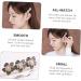 Beaupretty 1pc Clip Hair Accessories Metal Hair Clips for Women Faux Pearl Hair Clip Trendy Hair Clips Flower Hairpin Decorative Hair Clips Pearl Tiara Issue Card Miss Alloy Etc. Temperament - Buy Online on GoSupps.com