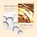 BB Cream Foundation with 50 SPF Snail Extracts - 2PC Set of Tinted Moisturizers for Women Moisturizing and Color Correcting Cream for Natural Looking Face Coverage - Buy Online on GoSupps.com