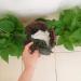 Personal Disposal Bags 300 PCS Women Sanitary Disposal Bags Black Waste Bags for Sanitary Napkin - Buy Online on GoSupps.com