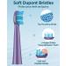 Sonic Electric Toothbrush for Adults and Kids - Rechargeable with 8 Brush Heads, 5 Modes, Smart Timer - Purple - Buy Online on GoSupps.com