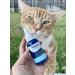 Vetericyn Plus Feline Facial Therapy for Cat Acne, Cuts, Sores & Irritated Eyes/Ears - Non-Toxic & Safe (2 oz) - Buy Online on GoSupps.com