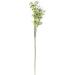 Ashland Ivory Mini Baby's Breath Spray 12 Pack - Buy Online on GoSupps.com