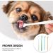 CAVLA 4 Pcs Small Dog Toothbrushes Cat Toothbrush Mini Head Soft Bristle Pet Toothbrush Pet Dental Care Kit Pet Oral Cleaning Products for Puppy Kitten Cats&Small Breed Dogs (B) - Buy Online on GoSupps.com