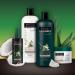 TRESemm Botanique Nourish & Replenish Conditioner for dry hair Coconut Milk & Aloe Vera with no dyes parabens or silicone 739 ml Botanique Nourish Conditioner 739 ml (Pack of 1) - Buy Online on GoSupps.com