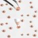 Beadsland Rhinestones for Makeup 8 Sizes 2500pcs Champagne Flatback Rhinestones Eye Gems for Nails Crafts with Tweezers and Wax Pencil Light Peach SS4-SS30 - Buy Online on GoSupps.com