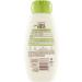 Garnier Ultra Dolce Shampoo Nutriente Latte di Mandorla 300 ml - Buy Online on GoSupps.com
