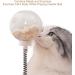 Marchul Cat Toy Ball Roller with Treat Ball | Interactive Wooden Track Balls Turntable for Kittens | Cat Supplies - Buy Online on GoSupps.com