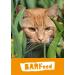 Vetfood Barfeed Taurine 150g - Supplement for Dogs & Cats | Supports Healthy Heart & Neurological System - Buy Online on GoSupps.com