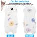 Wllhyf Recovery Suit for Cats - Breathable One-Piece Full Body Clothing for Kittens | Anti-Lick Protection Post-Surgery After Spay & Neuter | Large - Buy Online on GoSupps.com