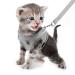 Femax cat dishes dishes with leash breakproof mesh puppy dishes reflective.