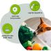 GRAU - the original - Dehydrated vegetables for BARFing - for dogs - Sweet potato semolina (1 x 500 g) - Buy Online on GoSupps.com