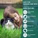 Luminous Safety Glow Repellent Collar Adjustable Water Resistant Cat Repellent Collars for Cats Medium Large Puppy 4 Pack Grey - Buy Online on GoSupps.com