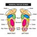 20 Pack: Kinoki Foot Detox Patches - Buy Online on GoSupps.com