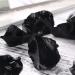 Soulnioi Black Obsidian Raw Crystal Stone Gemstones for Reiki Healing and Chakra Balancing - Set of 4 - Buy Online on GoSupps.com