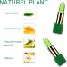 Aloe Magic Lipstick Temperature Color Changing Lipstick Long Lasting Lip Balm Nutritious Soothing Lip Balm Green Magic PH Color Changing Jelly Lipstick - Buy Online on GoSupps.com