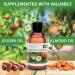 KitaMa Coconut Massage Oil - Aromatherapy Body Oil for Relaxation & Nourishing Care - 250ml (1 Pack) - Buy Online on GoSupps.com