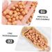 Alipis 3pcs 1 Grill Playset Artificial Groundnut Kernels Japanese Decor Peanut Kernels Prop Artificial Nut Model Simulated Nut Food Toy Toys Whole Grains Pvc Artificial Flowers - Buy Online on GoSupps.com