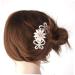Housoutil Bridal Hair Comb Crystal Bride Clip Hair Clip Crystal Hair Charms Women Hair Accessories Bridal Hair Accessories Pearl Hair Accessories Bride Hair Comb Women's Wedding - Buy Online on GoSupps.com