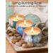 Hausware Scented Candles Set of 9 | Natural Soy Wax Aromatherapy Candles | Relaxation Gifts for Mothers | 9x2.2oz Essential Oils - Buy Online on GoSupps.com