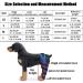 Adjustable Knee Brace for Dogs Pet Hind Legs Protector for CCL Injury Patella Luxation Arthritis Joint Pain Dog Leg Braces for Back Leg|Blue (M) - Buy Online on GoSupps.com