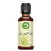 Eucalyptus globulus 2 oz - Aceite de Eucalipto Esencial by Creation Pharm
