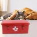 Ctomche First Aid Storage Box Dog Medicine Container Box Medicine Storage Chest with Lid Vintage Medicine Storage Organizer for Dog Medicine Storage Bins with Compartments 7.6L - Buy Online on GoSupps.com