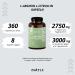 Arginine Citrulline Capsules - 360 Vegan Caps 3000mg for Fitness & Bodybuilding | Premium Quality No Additives - Buy Online on GoSupps.com