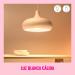 WiZ Connected Color 60W Candle B11 Smart WiFi Light Bulb  16 Million Colors  Compatible with Alexa and Google Home Assistant  No Hub Required  1 Bulb Candle Color 1 Count (Pack of 1) - Buy Online on GoSupps.com