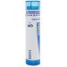 Boiron Sabina 5C Md 80 Pellets for Heavy Menstrual Flow with Pain in The Upper Thighs