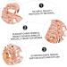 RORPOIR Scorpion Single Brace Rose Gold Men's Jewelry Accessory - Removable Tooth Caps, Hip Hop Style - 2X1cm - Buy Online on GoSupps.com