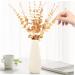 Zerodeko 30 Pcs Eucalyptus Leaves Christmas Tree Ornaments Artificial Eucalyptus Home Decor Green Leaves Artificial Flowers Harvest Eucalyptus Stem Floral Vase False Leaf Wedding Plastic Goldenx3pcs 38X3CMx3pcs - Buy Online on GoSupps.com
