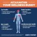 High Potency Astaxanthin 10mg Softgels - Powerful Antioxidant for Joint, Heart, Brain & Skin Health - 120 Capsules - Buy Online on GoSupps.com